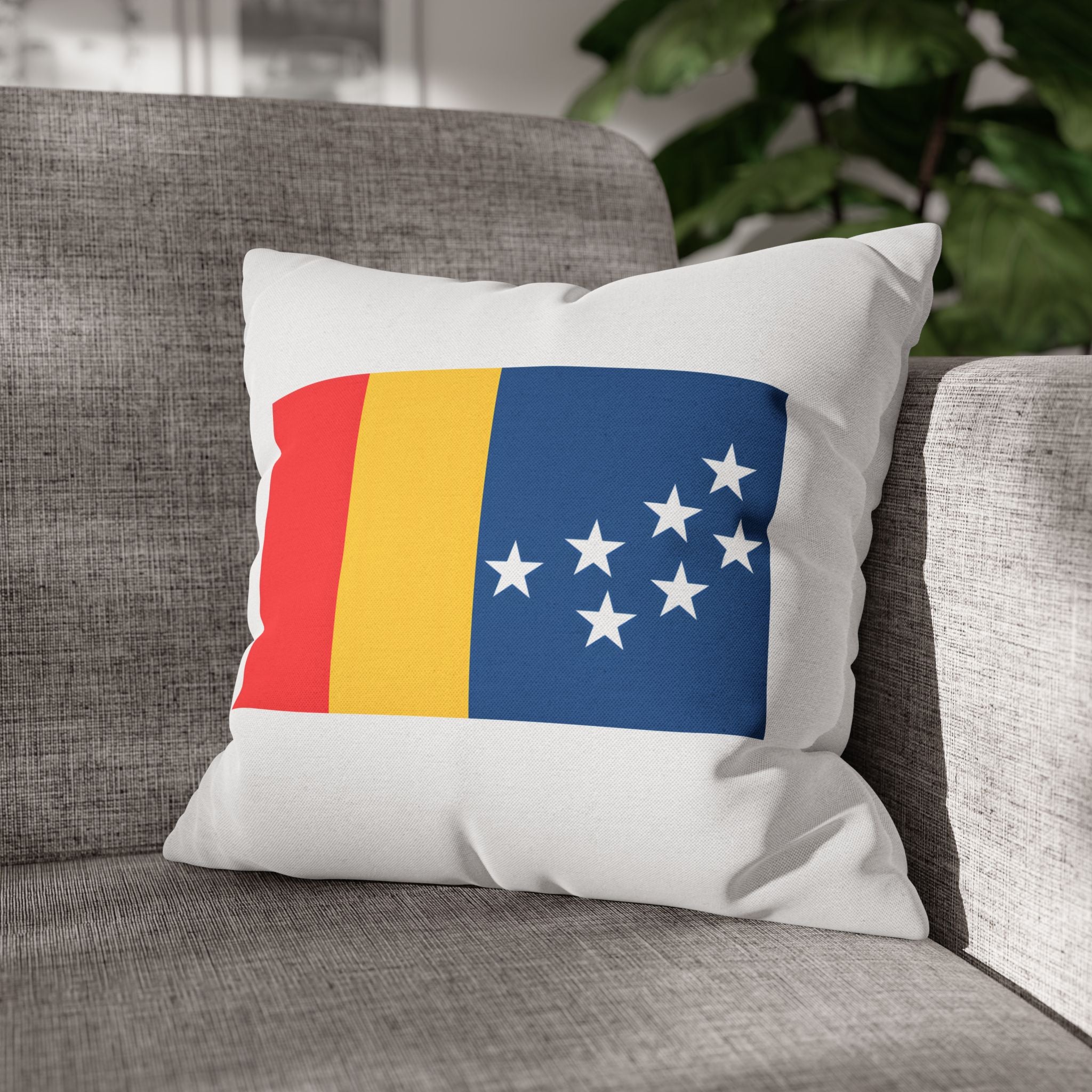 BCS17 - Throw Pillow