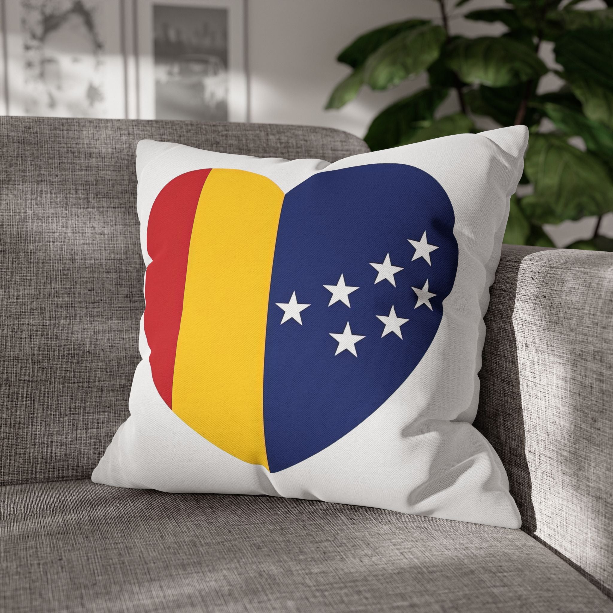 BCS16 - Throw Pillow