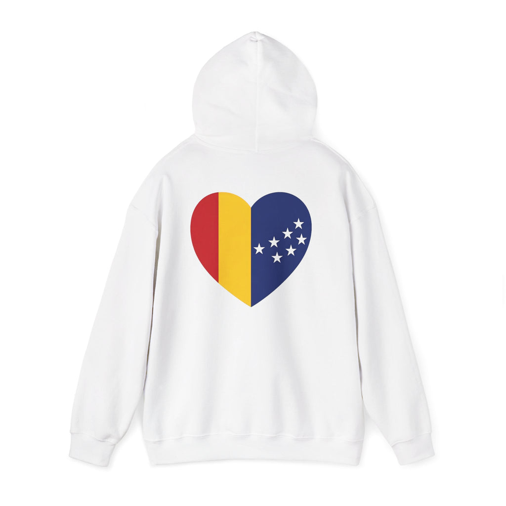 BCS16 -  Unisex Heavy Blend™ Hooded Sweatshirt