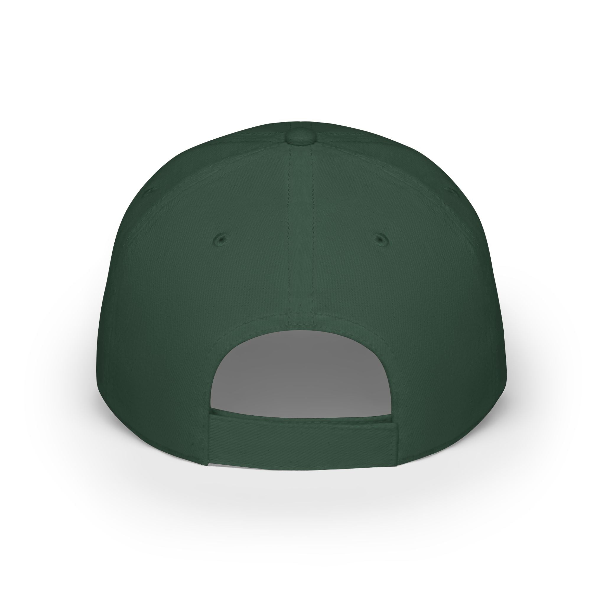 BCS10 - Low Profile Baseball Cap