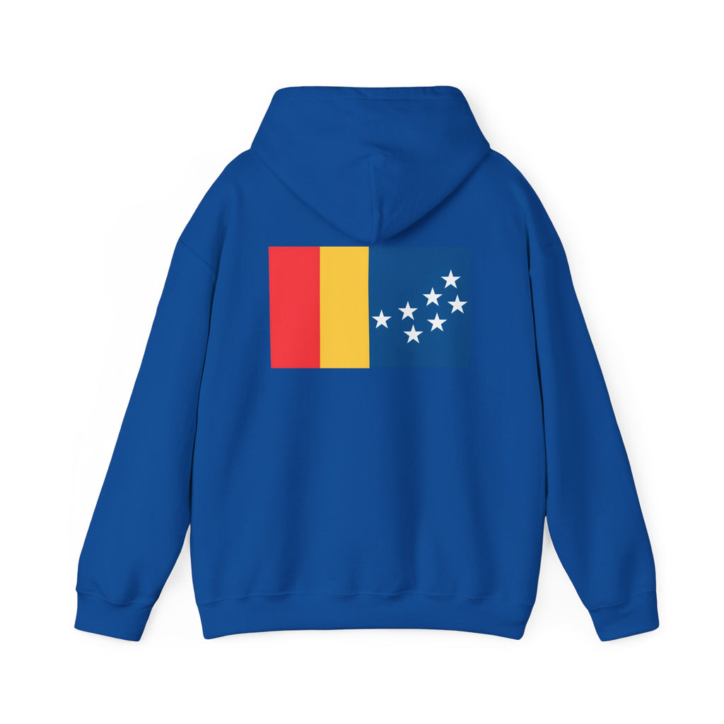 BCS17 -  Unisex Heavy Blend™ Hooded Sweatshirt