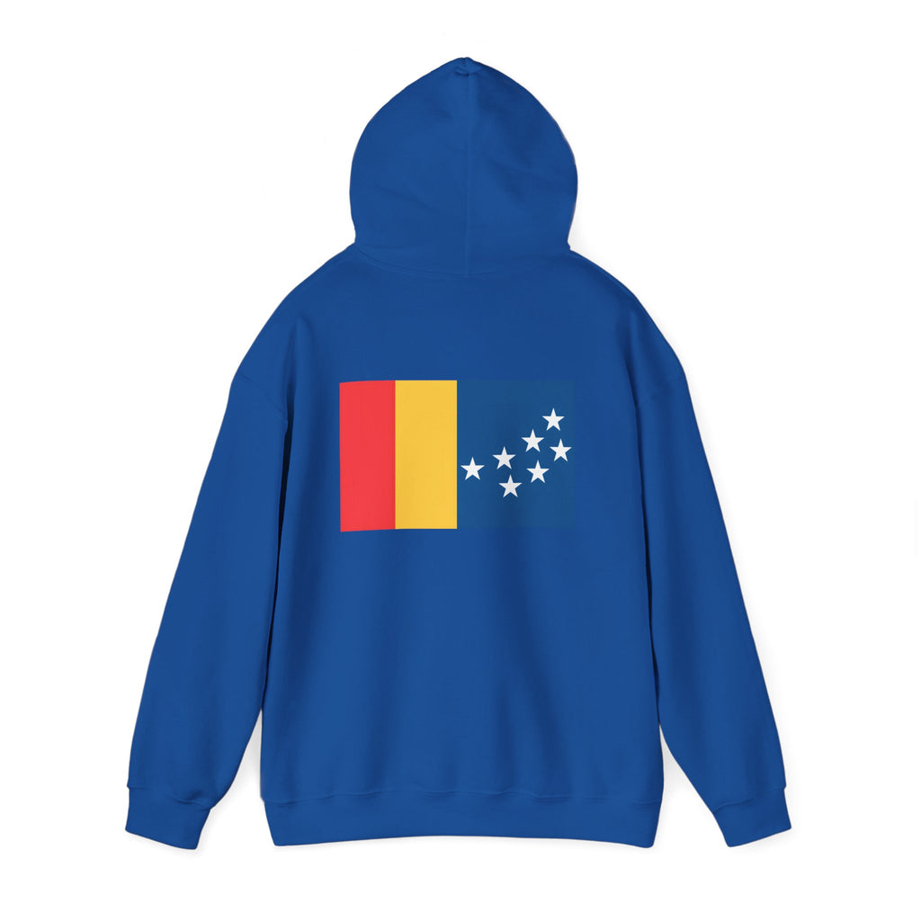 BCS17 -  Unisex Heavy Blend™ Hooded Sweatshirt