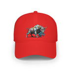 BCS2 - Low Profile Baseball Cap