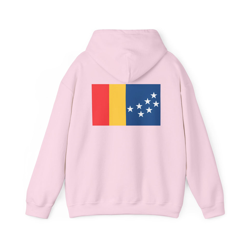 BCS17 -  Unisex Heavy Blend™ Hooded Sweatshirt