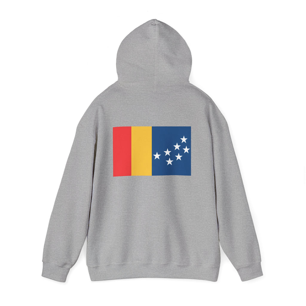 BCS17 -  Unisex Heavy Blend™ Hooded Sweatshirt