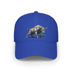 BCS2 - Low Profile Baseball Cap
