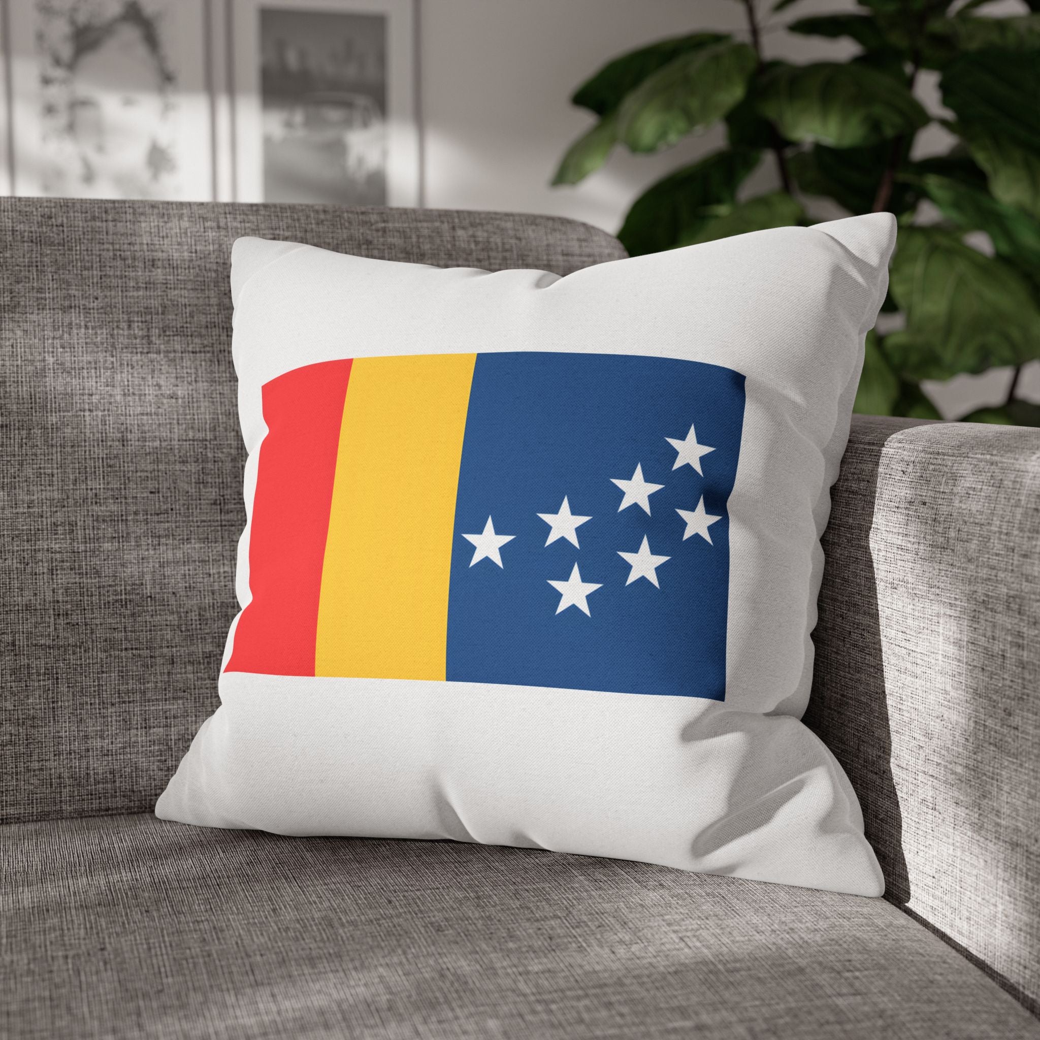 BCS17 - Throw Pillow