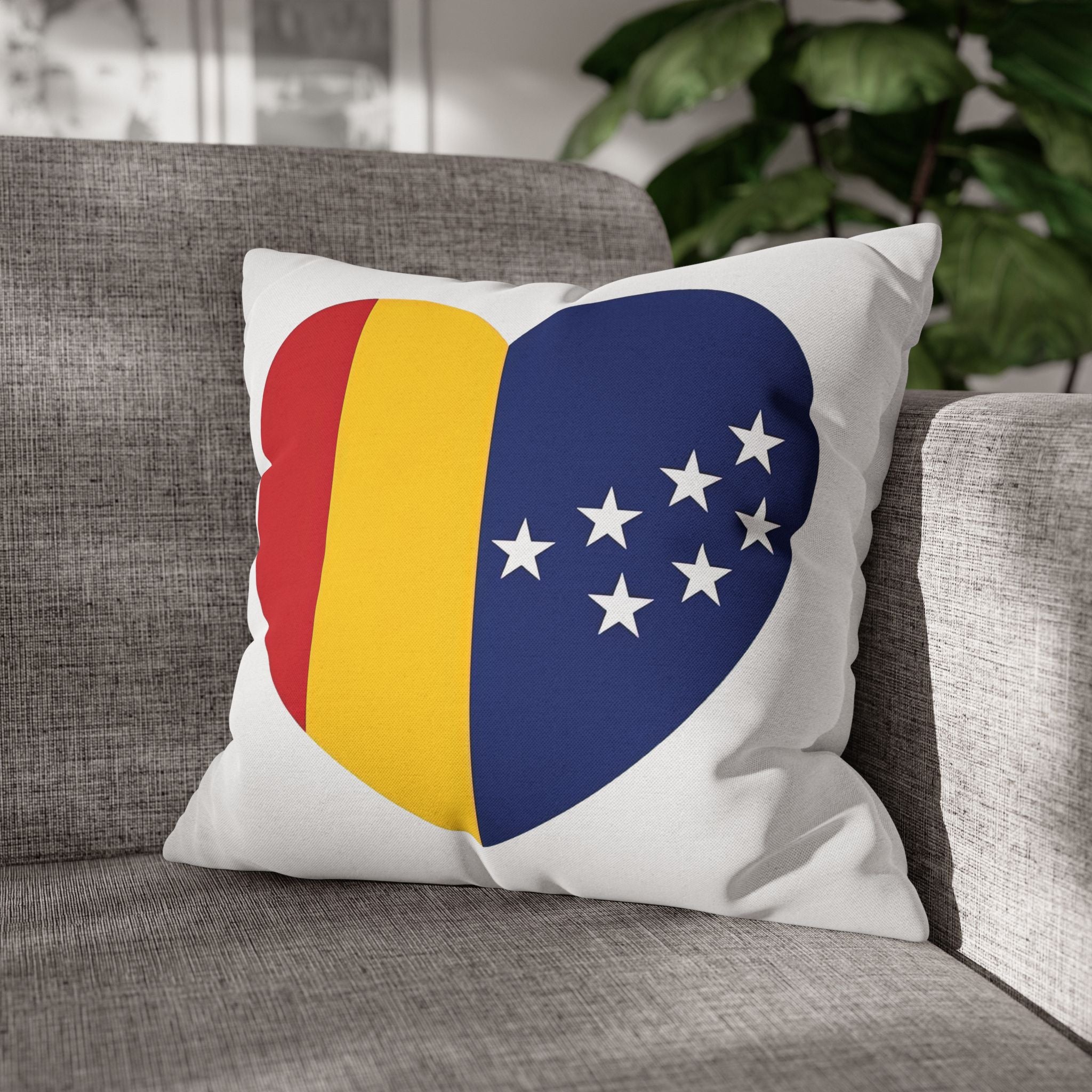 BCS16 - Throw Pillow