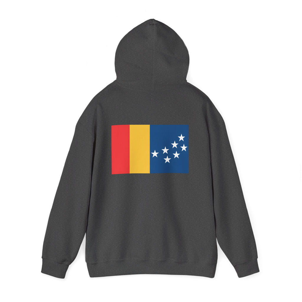 BCS17 -  Unisex Heavy Blend™ Hooded Sweatshirt