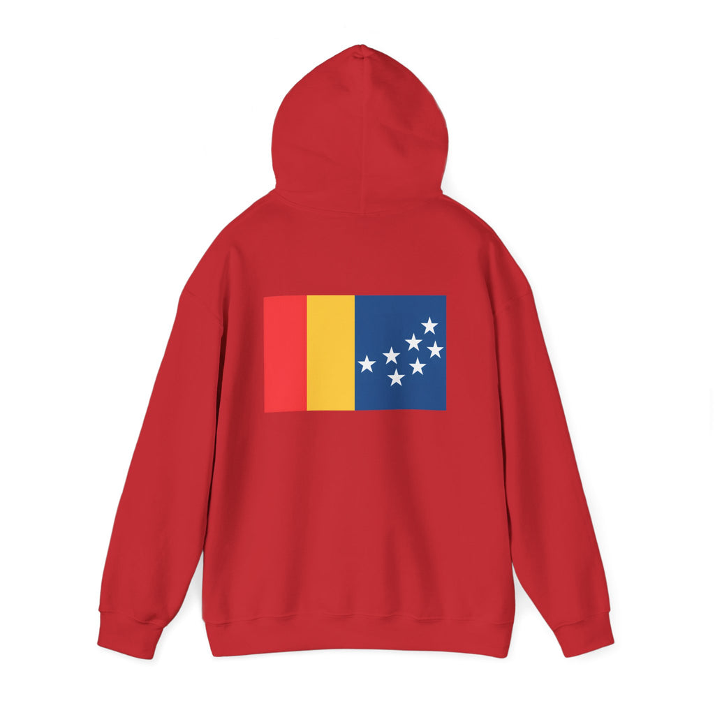 BCS17 -  Unisex Heavy Blend™ Hooded Sweatshirt
