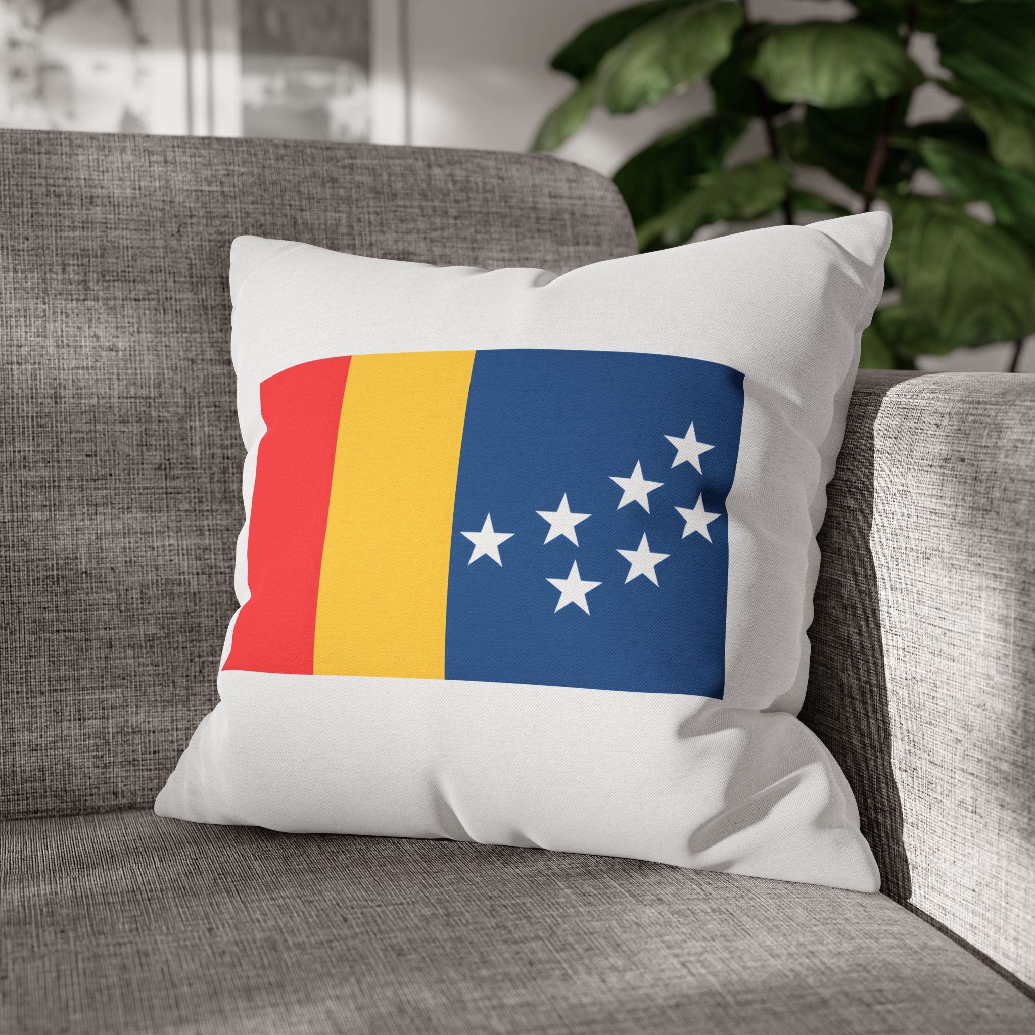 BCS17 - Throw Pillow